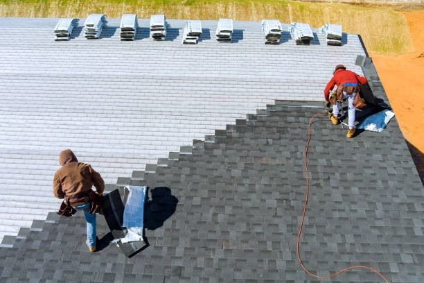 Best Roof Moss and Algae Removal  in Shively, KY